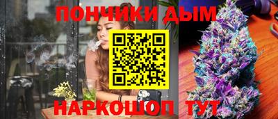 шишки Камышлов