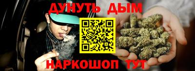 шишки Изобильный