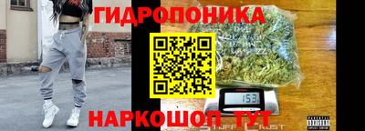 шишки Изобильный