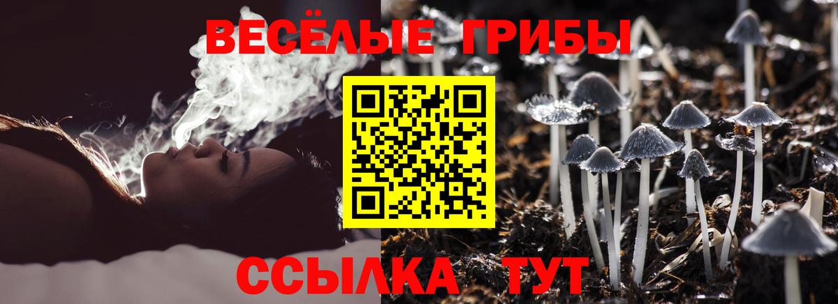 Ярцево  Псилоцибиновые грибы Psilocybe  Вход с VPN 